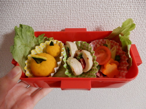 愛犬とお揃い!わんちゃんも食べられる「春の行楽弁当」レシピ
