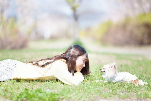 予防よりも早期発見が大切!犬の「がん」に対して飼い主ができること
