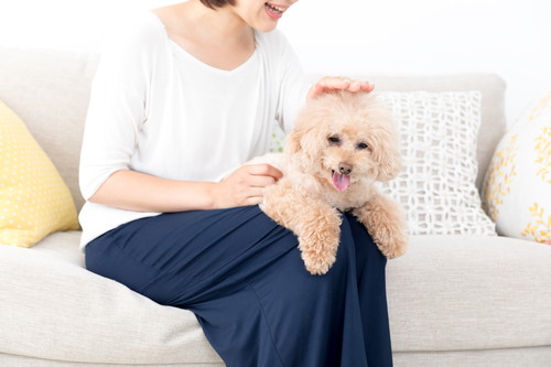 獣医師が感心した!飼い主さんの「愛犬への気遣い」~第1弾~