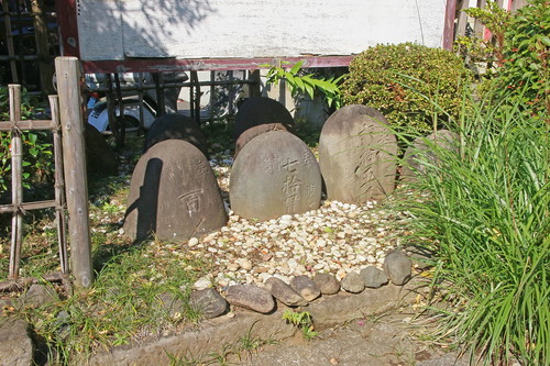 2019年は一緒に「初詣」に行こう！ペットにやさしい『市谷亀岡八幡宮』の魅力