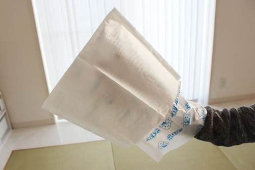 犬の「お散歩グッズ」どうやって片付ける？飼い主さんがラクできる便利な収納術