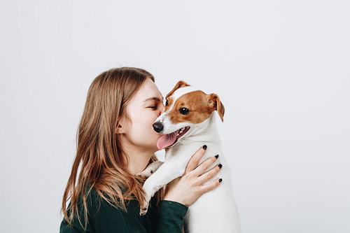 あなたの愛犬は大丈夫?梅雨に季節になりやすい「皮膚疾患」について