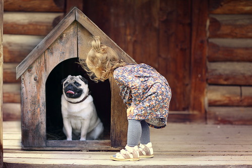 外飼い?それとも室内飼い?犬が生活をする「最適な場所」について