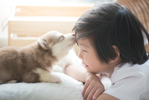 悲しい気持ち…どうすればいいの?今から知っておきたい「ペットロス」について
