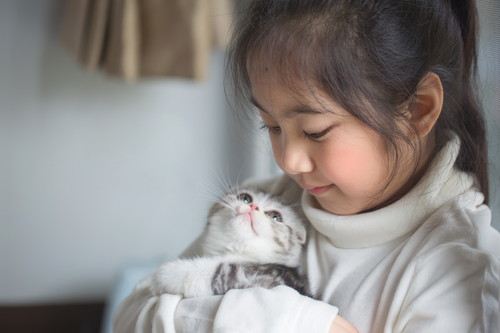猫も「お手」を覚える!? 飼い主との絆も深まる「芸の活用方法」
