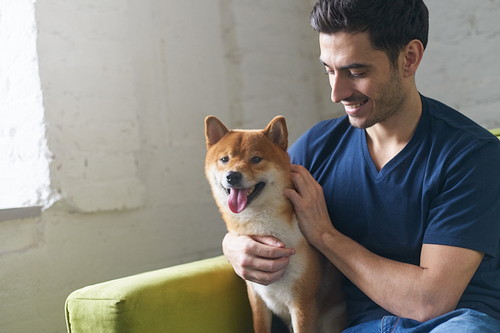 柴犬の飼い主に聞いた!日常生活で「気をつけていること」3つ