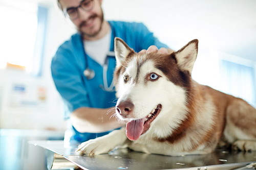 rs_shutterstock_622118597.jpg