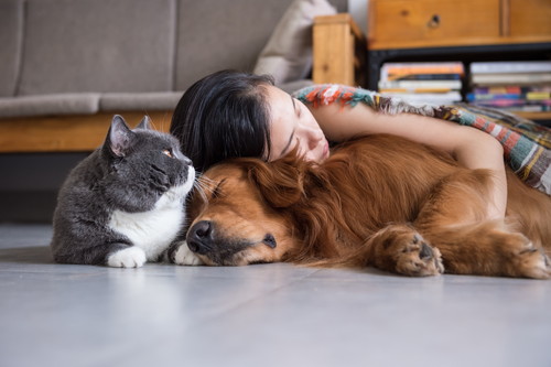 出典:https://www.shutterstock.com/