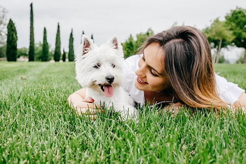 なんで飲んでくれないの?犬への「投薬」が上手くいかない理由と対策
