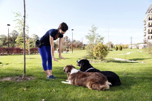犬の飼い主なら覚えておきたい!「ドッグラン」の基本ルール&マナー