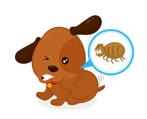 あなたの愛犬は大丈夫?今すぐ実践したい「蚊・ノミ・ダニ」ワクチン以外の対策