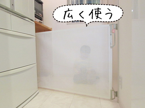 意外な場所が犬のトイレに!? ペットとスッキリ暮らすための「部屋づくり」