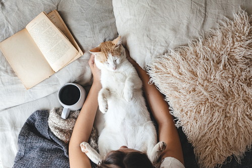 程よい距離感がGOOD!猫とのふれあいによる「健康効果」とは