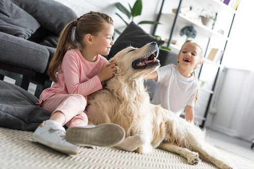 大型犬との暮らしも夢じゃない!? 迎える前に「生活上の注意点」を理解しよう