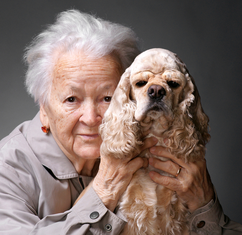 犬にも老眼はあるの?加齢が眼に与える影響を獣医師が解説!