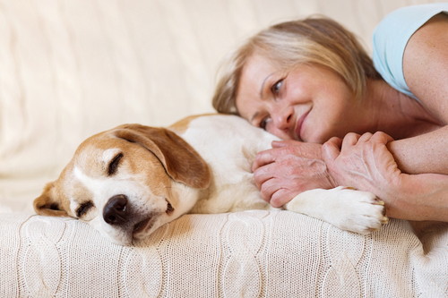 若さを保つために!高齢犬の「こころ」と「からだ」を刺激しよう