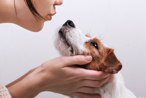 今こそ再確認、犬猫の防災対策!避難用品リストと普段からできること