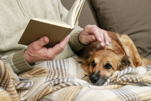 スマホに入れておきたい!愛犬の体調管理に使えるペットケアアプリ3選