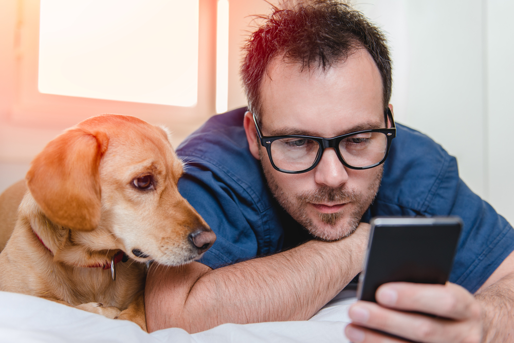 ブルーライトは大丈夫?テレビや蛍光灯は?人工的な光が犬の目に与える影響