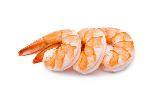 犬が食べると危険な「魚介類」ってなに？夏を迎える前におさらいしよう