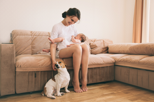 犬が赤ちゃんにやきもちするときはどうしたらいい?嫉妬行動の理由と対策