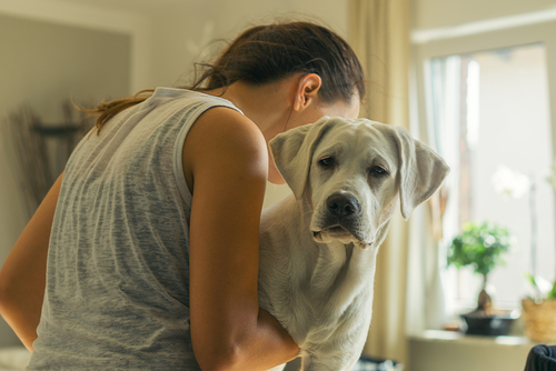 遺伝、環境、それとも飼い主？犬の性格を決める要素ってなに？