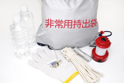 今こそ再確認したいペットの「防災対策」!平常時にやっておくべきこと4つ