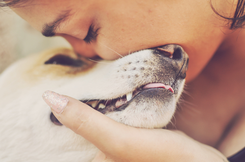 遺伝、環境、それとも飼い主？犬の性格を決める要素ってなに？