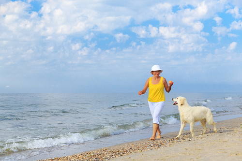 若さを保つために!高齢犬の「こころ」と「からだ」を刺激しよう