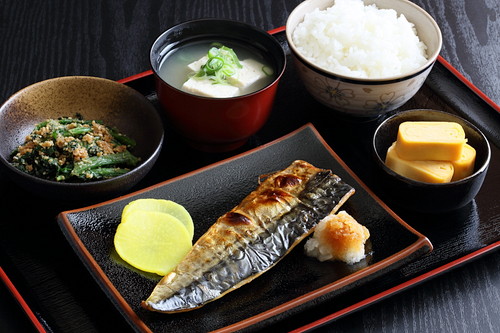 なんでそんなに夢中なの?猫が「魚」を好きな理由を獣医師が解説