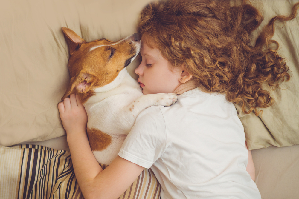 「犬は飼い主に似る」は本当?犬の性格について獣医師が解説