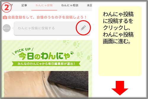 わんにゃ投稿2