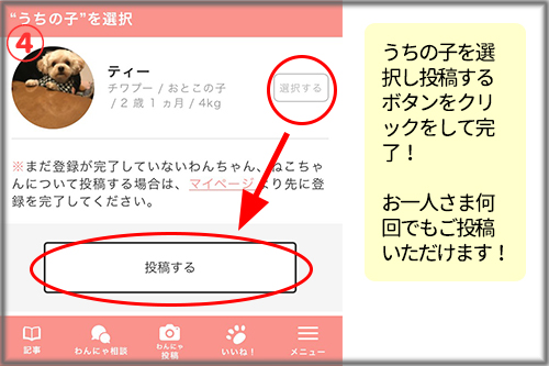 わんにゃ投稿4