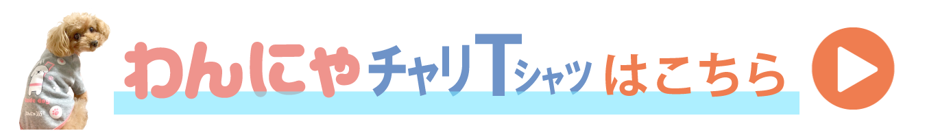 チャリTシャツはこちら