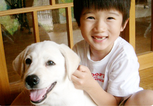 生まれてから盲導犬になるまで