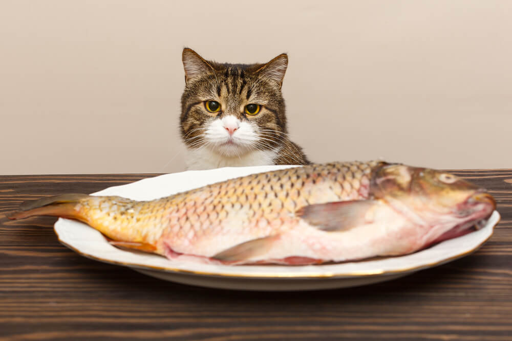 shutterstock_1608088834.jpg