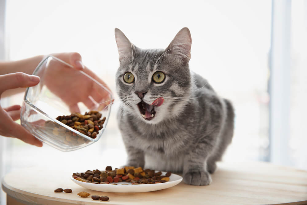 shutterstock_605469404.jpg