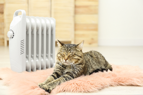 猫がストーブの近くで寝転んでいる写真
