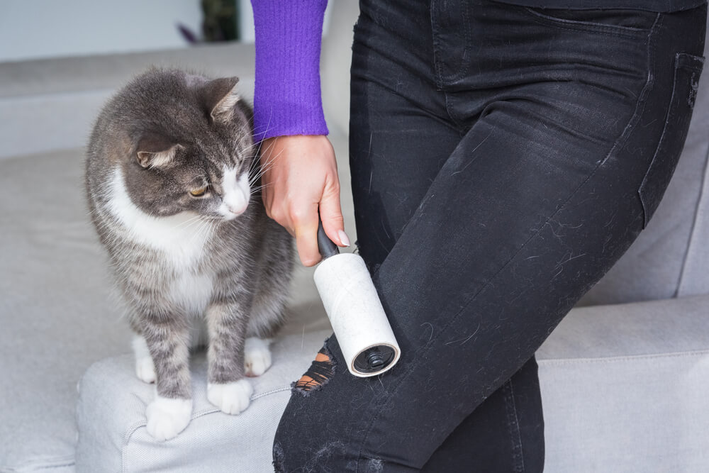 洋服についた猫の毛をローラーで取っている写真