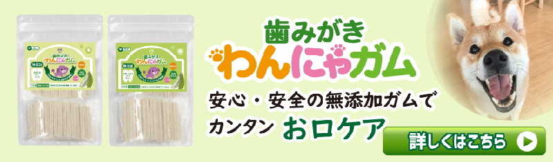 1101よこなが.png