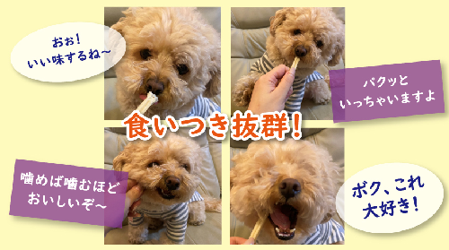 1101食いつき.png