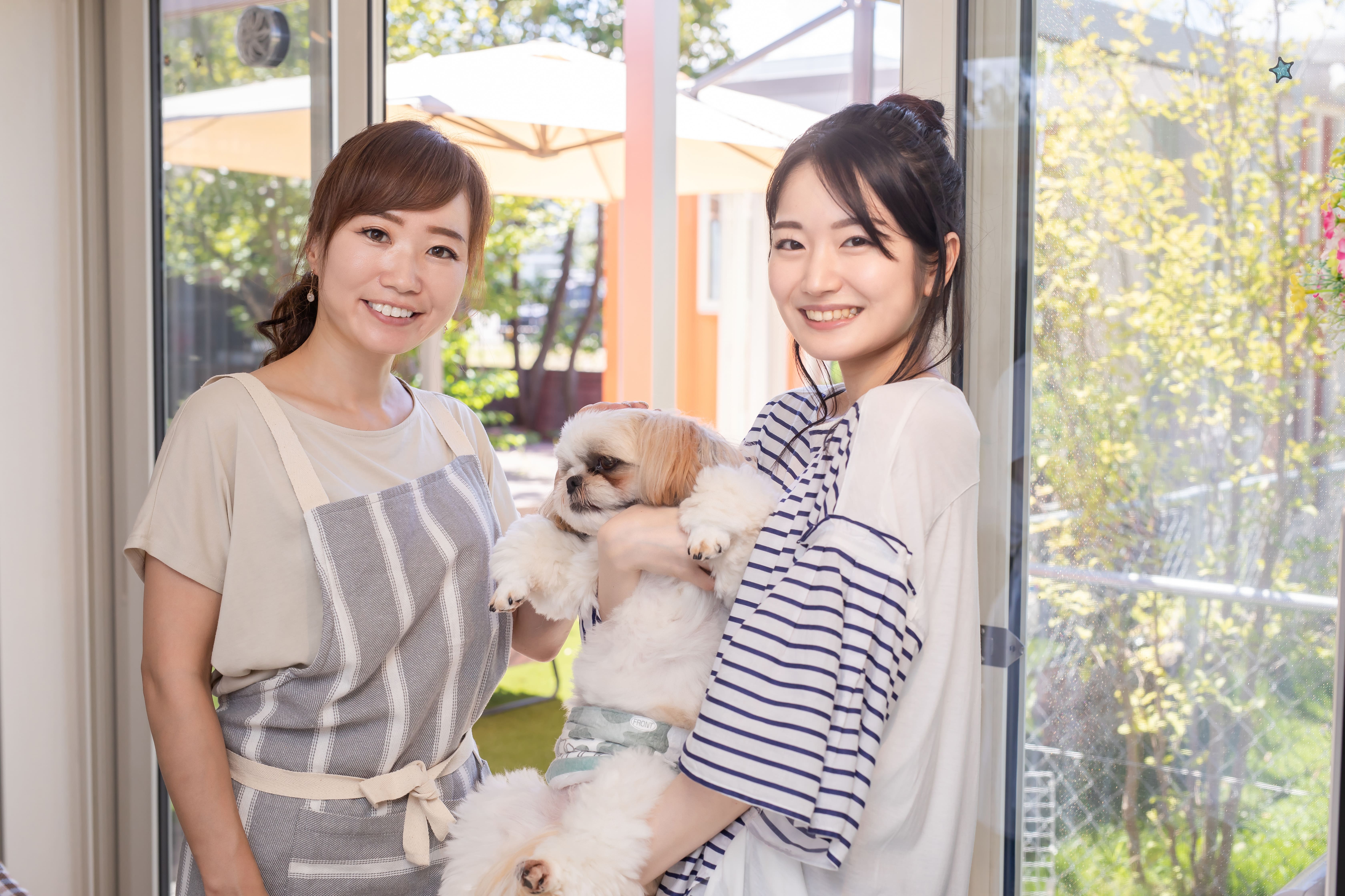 トリマーと犬
