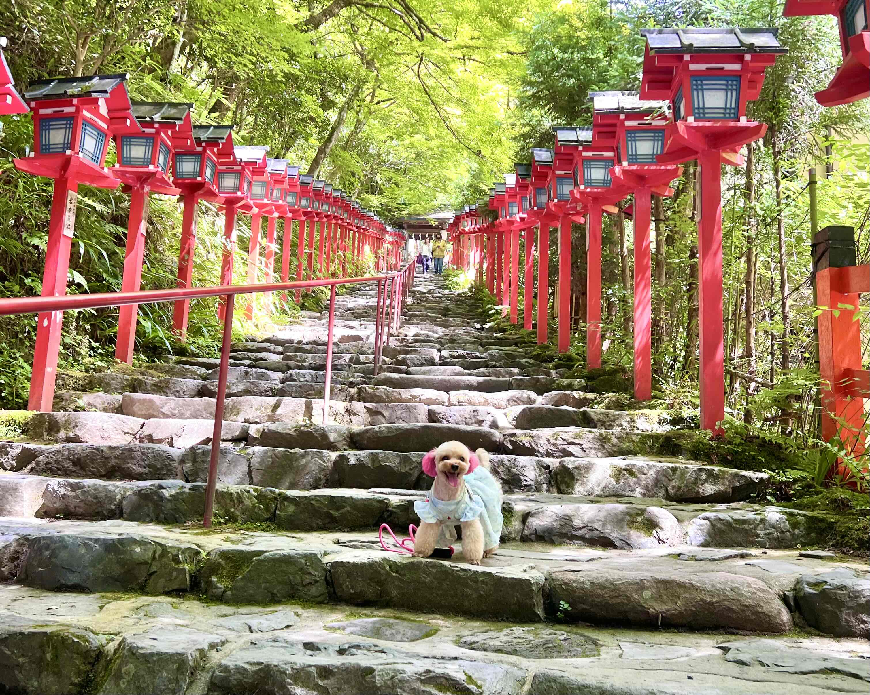 貴船神社