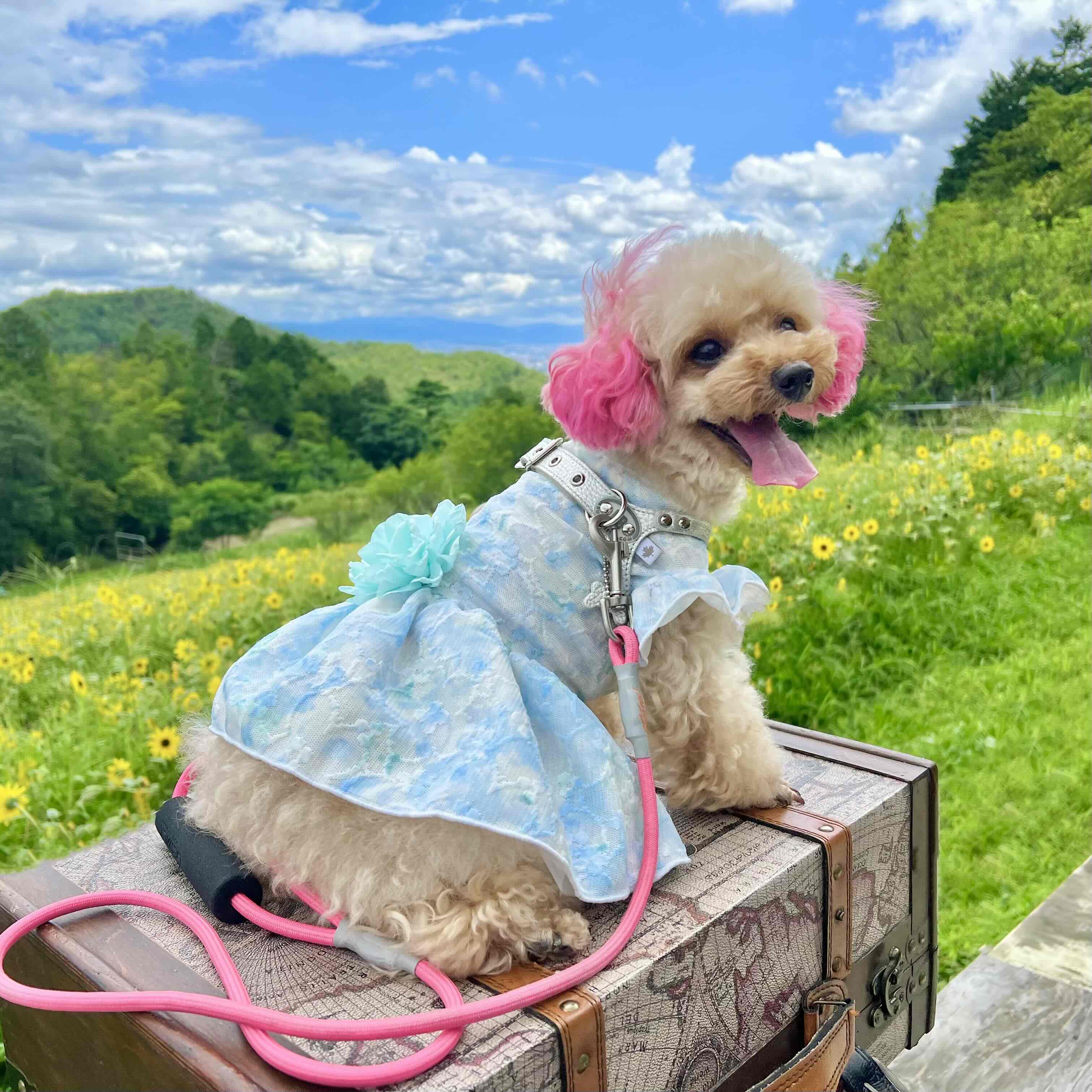 高雄パークウェイ