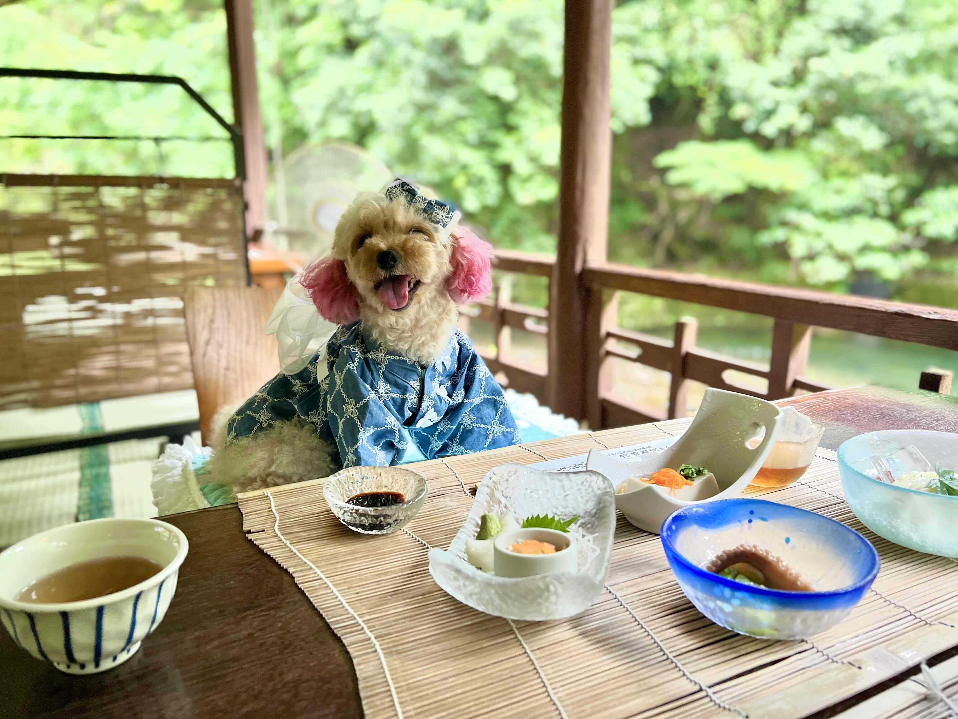 高雄観光ホテル　川床