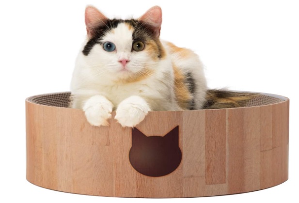猫壱のバリバリボウル