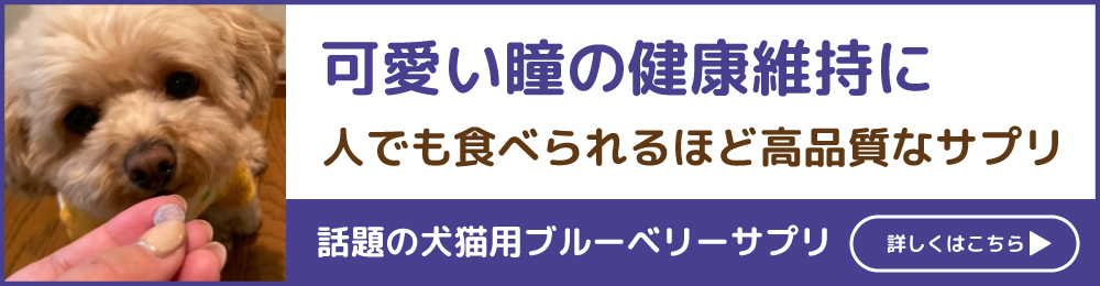 220604_365記事バナー_スマニュ用.jpg