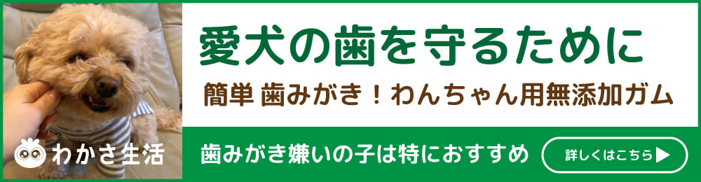 『歯みがきわんにゃガム』