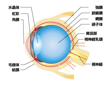 レの構造.jpg