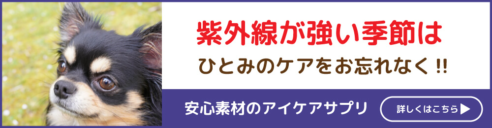 220701_foot_wannyaburu.jpg